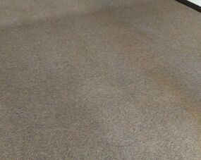 Before & After Commercial Carpet Cleaning in Cleveland, OH (2)