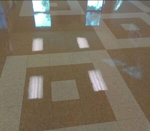 Commercial Floor Stripping & Waxing in Cleveland, OH (1)